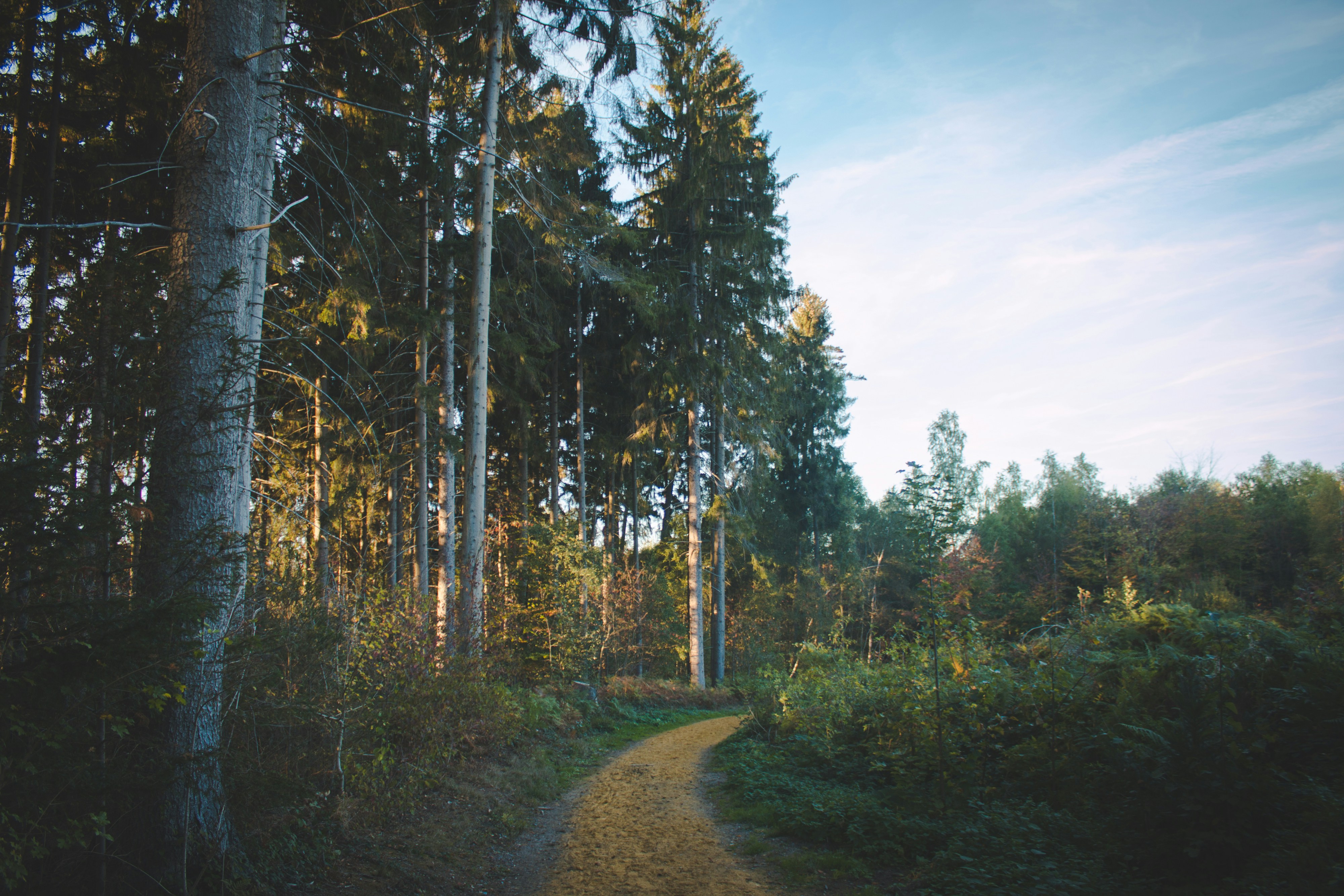 Wandern in der Eifel